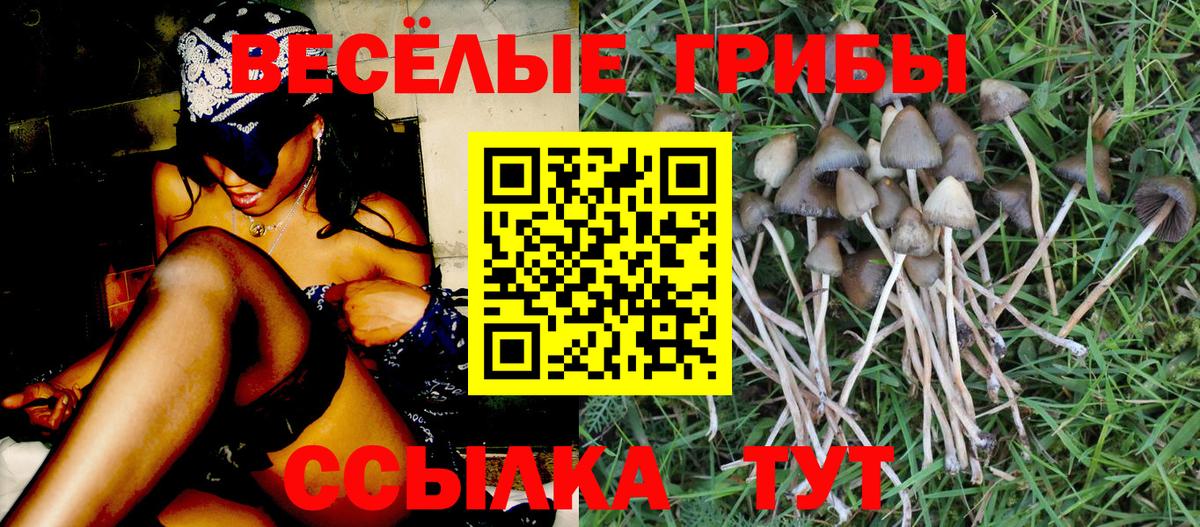 как найти закладки  Псилоцибиновые грибы GOLDEN TEACHER  Грозный  Вход с VPN  Галлюциногенные грибы мухоморы 