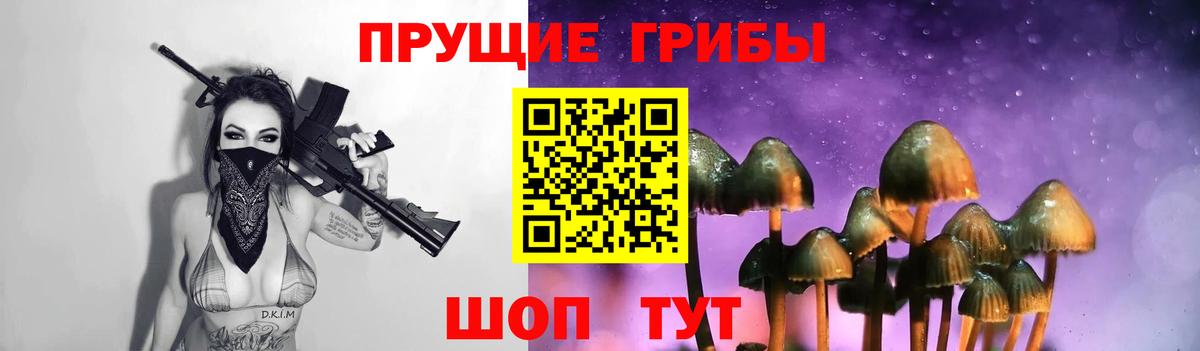 Псилоцибиновые грибы мухоморы Грозный